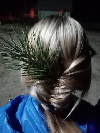 Поэзия чудесная страна…